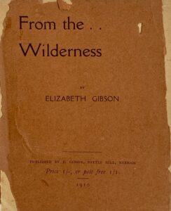 photograph of original book From the Wilderness with tattered cover showing title, author, date, price, and publisher.
